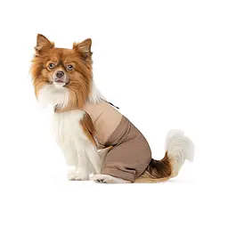 Шлей-костюм Darcy ТМ Pet Fashion для собак M бежева - мініатюра 2