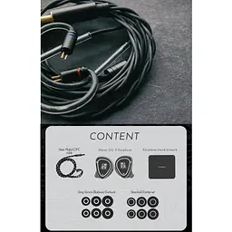 Дротові IEM навушники Tangzu Waner SG 2 with MIC Type-C (Чорний) - мініатюра 4