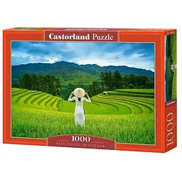 Пазл Castorland puzzle Рисові поля у В'єтнамі, 1000 ел. (C-105052)