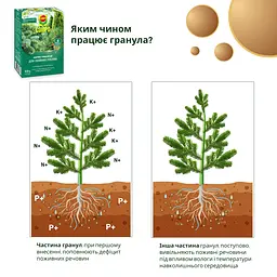 Тверде добриво COMPO тривалої дії для хвойних 0.85 кг - мініатюра 8