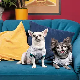 Футболка Pet Fashion Flora для собак бавовна білий трикотаж з квітковим принтом XXS - мініатюра 4