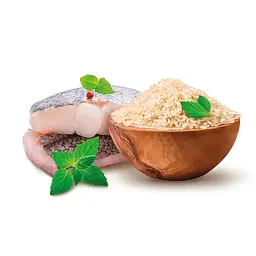Сухий корм для цуценят середніх та великих порід Home Food гіпоалергенний Форель та рис 10 кг - мініатюра 2