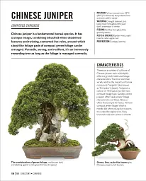 Grow Bonsai - мініатюра 9