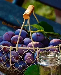 Саджанець Agro-Market Слива Улюблениця Султана (літній сорт, середній термін дозрівання) (39988) 1 шт. в упаковці - мініатюра 4