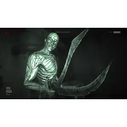 Ключ активації Microsoft Outlast 2 для Xbox One/Series - мініатюра 2