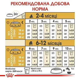 Сухий корм для цуценят породи Бульдог Royal Canin Bulldog Puppy, 12 кг (39671201) - мініатюра 7