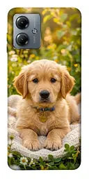 TPU чохол Demsky Small labradore для Motorola Moto G14