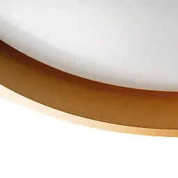 Світлодіодний світильник Smart MODERN 1-ESP-2004 45W Gold&Black IP20 ETRON - мініатюра 4