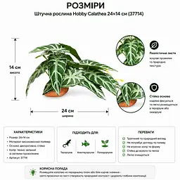 Штучна рослина Hobby Calathea 1 24x14 см (37714) для тераріуму, акватераріуму та палюдаріуму - мініатюра 2