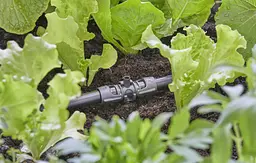 З'єднувач T-подібний для мікронасадок Gardena Micro-Drip-System Quick & Easy для шлангів 13 мм, 5 шт (13206-20) - мініатюра 4
