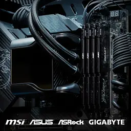 Модуль пам'яті для комп'ютера DDR5 16GB (2x8GB) 5600 MHz Beast Kingston Fury (ex.HyperX) (KF556C36BBEK2-16) - мініатюра 8