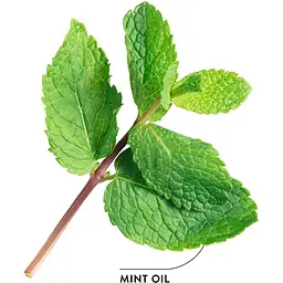 Ополіскувач для ротової порожнини Ecodenta Expert Line Extraordinary, з чорним вугіллям, 500 мл - мініатюра 4