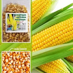 Кукурудза Весна Потрійна насолода 100г (48613) - мініатюра 2