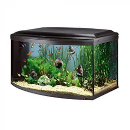 Акваріум Ferplast CAYMAN 110 SCENIC - 300 L 110 x 55 x h 61.5 cm