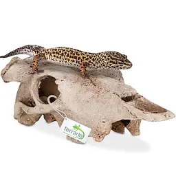 Декорація череп буйвола Terrario Buffalo Skull 21x12x8см (22128) - мініатюра 3