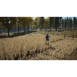 Ключ активації Microsoft Medieval Dynasty для Xbox One/Series - мініатюра 11