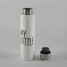 Термос з неіржавкої сталі My Bottle 300 мл з герметичною кришкою Рондомний колір