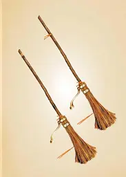 Harry Potter: The Mini Book of Brooms - Джоді Ревенсон - мініатюра 5