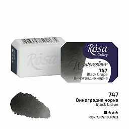 Фарба акварельна Виноградна чорна (747) 2.5 мл Rosa Gallery