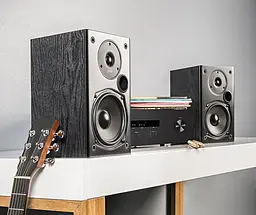 Порожнисті колонки Hi-Fi Polk Audio T 15 - мініатюра 4