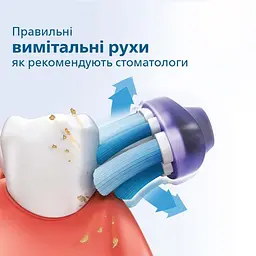 Електрична зубна щітка Philips 2100 Series (HX3651/13) - мініатюра 3