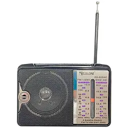 Портативний радіоприймач Golon RX-606AC