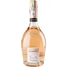 Ігристе вино La Tordera Prosecco Treviso DOC Torse Brut рожеве брют 11.5% 0.75 л (1055)