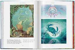 Astrology. The Library of Esoterica - мініатюра 7