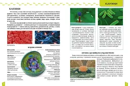 Про тіло людини Енциклопедія для допитливих - мініатюра 3