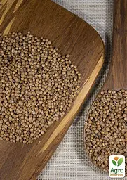 Насіння Agro-Market Кінза на вагу ціна за 20 г (13357) - мініатюра 2