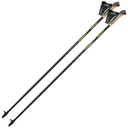 Палиці для скандинавської ходьби Gabel FX-75 Snake Carbon 125 Dual Spike Чорний