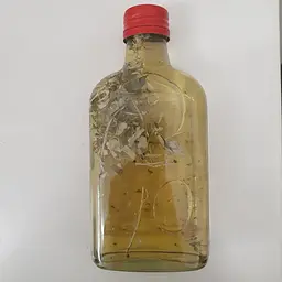 Водна настоянка на траві лох дика маслина 200 мл - мініатюра 2