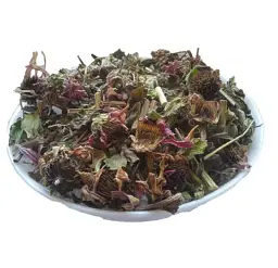 Ехінaцея пурпурова Трава Рудбекія Purple echinacea - мініатюра 1