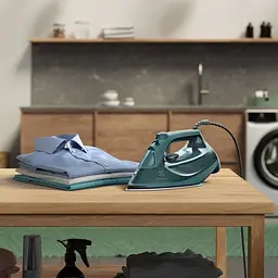 Праска Electrolux 2600Вт teh0025700 - мініатюра 2
