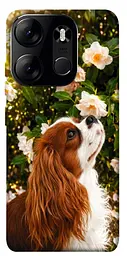 TPU чохол Demsky Flower spaniel для Tecno Spark Go 2023