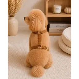 Шлейка для собак Teddy Premium коричнева S Multibrand zoo0005537