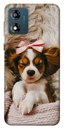 TPU чохол Demsky Sleepy spaniel для Motorola Moto E13