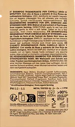 Відновлювальний шампунь для пошкодженого і ослабленого волосся Nook BEAUTY FAMILY AGELESS 10 мл - мініатюра 2