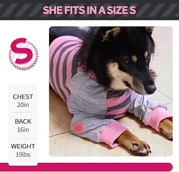Костюм для відновлення собак Derby Stop Licking Dog Recovery Shirt, Pink, M - мініатюра 5