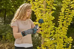 Рукавички для робіт із чагарниками Gardena 8/M Oeko-Tex® (11530-20) - мініатюра 5