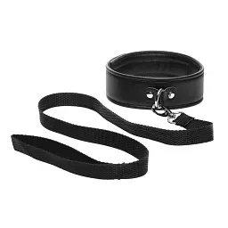 Tailz Puppy Play Set - Gag, Plug, Collar - рольовий БДСМ набір щеняти: кляп, анальна пробка з хвостом, нашийник - мініатюра 4