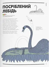 Роботландія, Бeрта Парамо/ - Берта Парамо - мініатюра 9