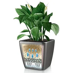 Вазон Lechuza Quadro Premium LS 28 антрацит (16143) - мініатюра 3