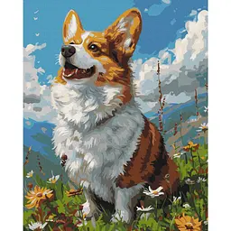 Картина за номерами Сонячний Коргі BS53943, 40x50 см