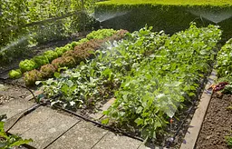Комплект мікрокрапельного поливу Gardena Micro-Drip-System для клумб та грядок (13015-20) - мініатюра 2
