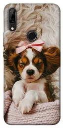 TPU чохол Demsky Sleepy spaniel для Huawei P Smart Z