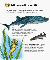 Океани та моря. Енциклопедія дошкільника С614055У - мініатюра 8