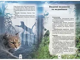 Книга Таємниці кланів. Коти воїни kni0003758 - мініатюра 3