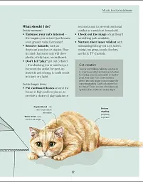 What's My Cat Thinking? Understand Your Cat to Give Them a Happy Life - мініатюра 4
