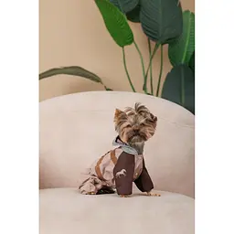 Дощовик Pet Fashion Mustang для собак розмір XS2 - мініатюра 4